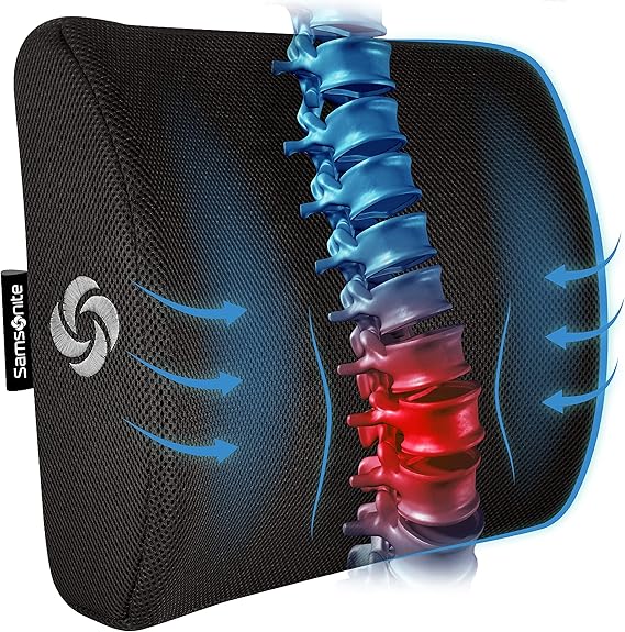 Lumbar Support Pillow Picture